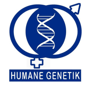 Humane Genetik